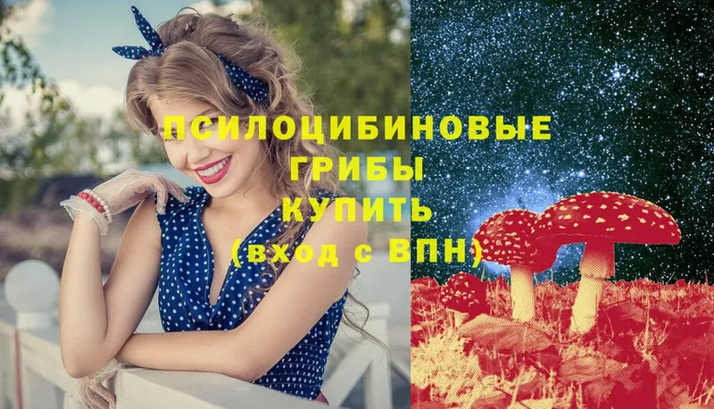 Галлюциногенные грибы Psilocybe  Николаевск-на-Амуре 